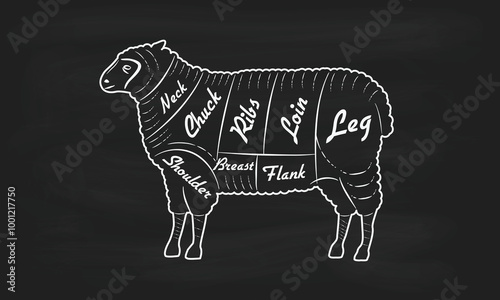 Cuts of Lamb meat. Lamb cuts. Butcher's guide diagram. Vintage poster for butcher shop, meat shop, grocery store, restaurant. Vector illustration