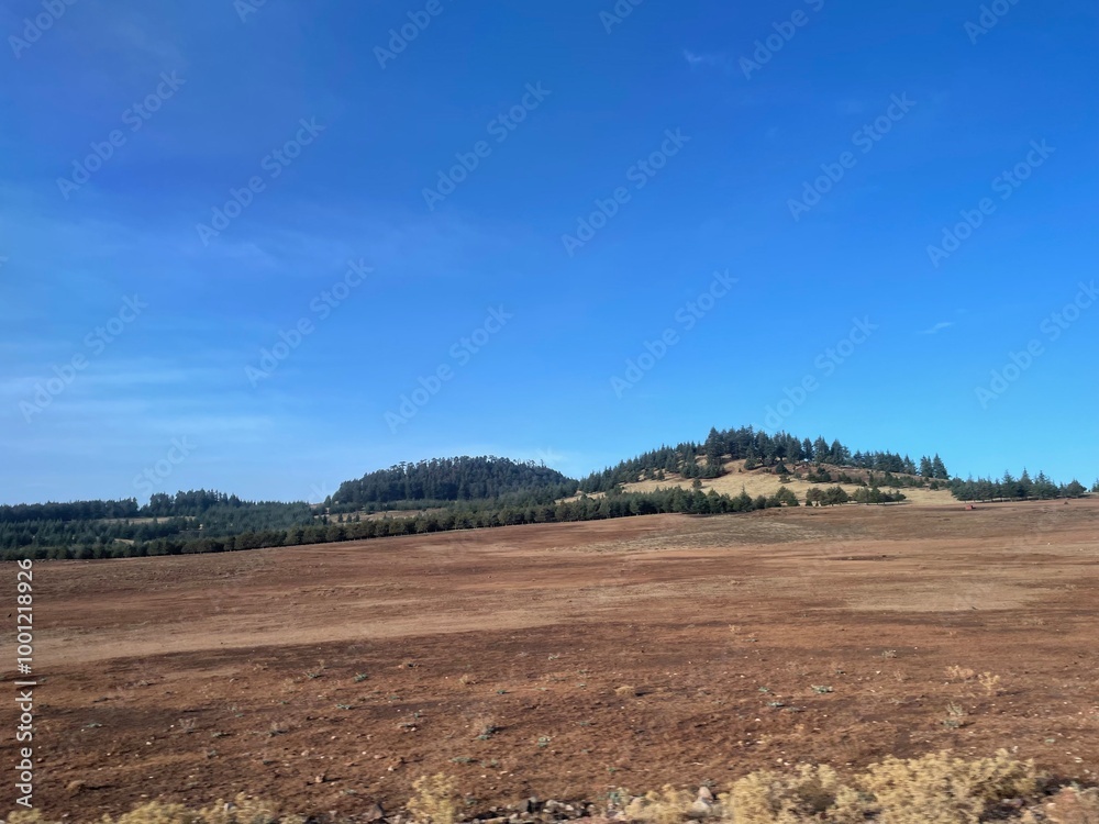 Naklejka premium plowed field and sky