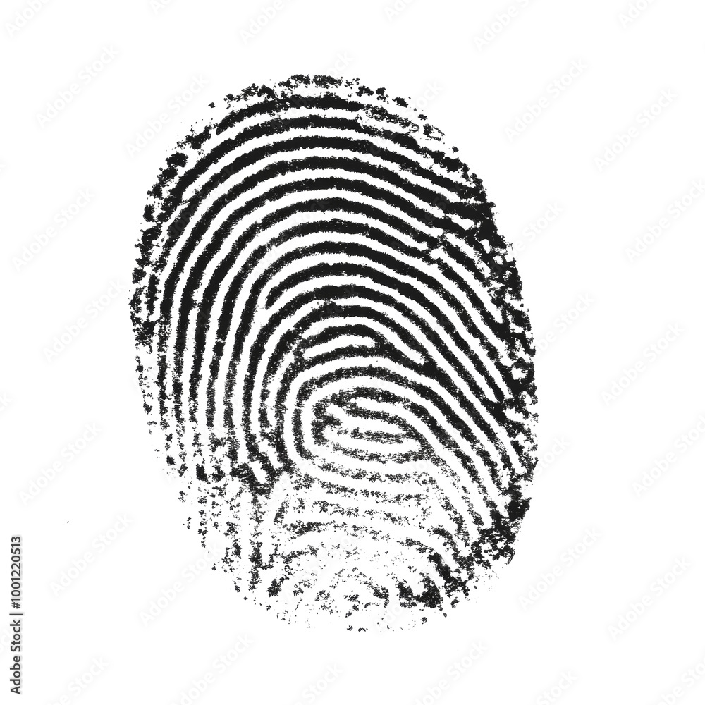 Fingerprint isolated on white background, close up. Concept of identification and security
