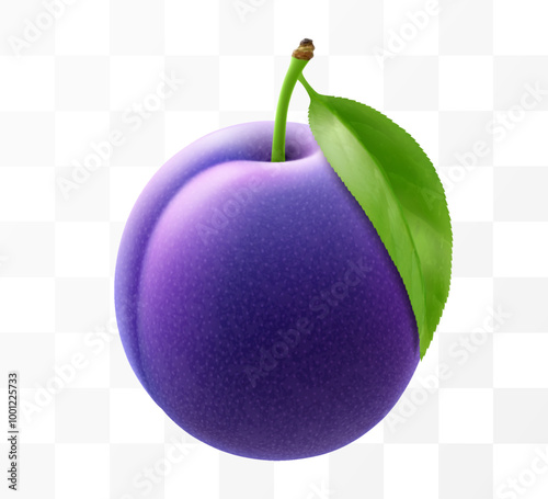 Juicy sweet plum isolated on transparent background. Purple plum fruits, prunes, natural berries, date fruit, fresh organic food. Realistic vector 3d illustration