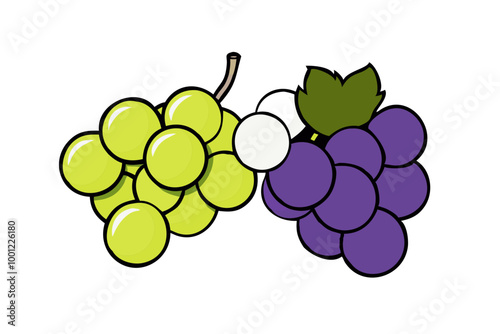Red and green grapes on white background, grape types set. Logo design, vector illustration. Wine vector logo art. stock illustration