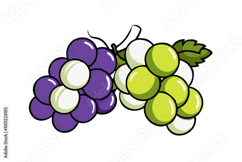 Red and green grapes on white background, grape types set. Logo design, vector illustration. Wine vector logo art. stock illustration