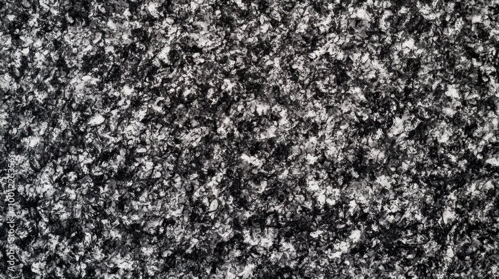 Textured Black and White Grainy Surface Textured Black and White Grainy Surface