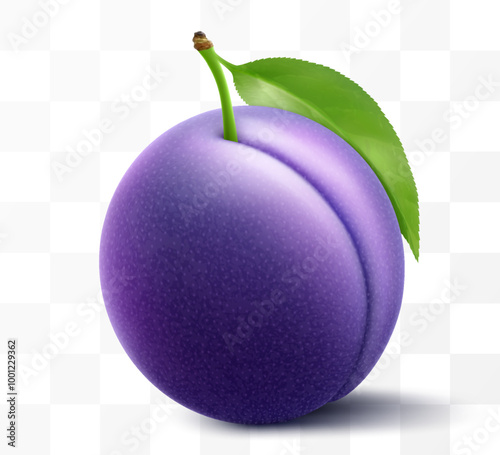 Juicy sweet plum isolated on transparent background. Purple plum fruits, prunes, natural berries, date fruit, fresh organic food. Realistic vector 3d illustration