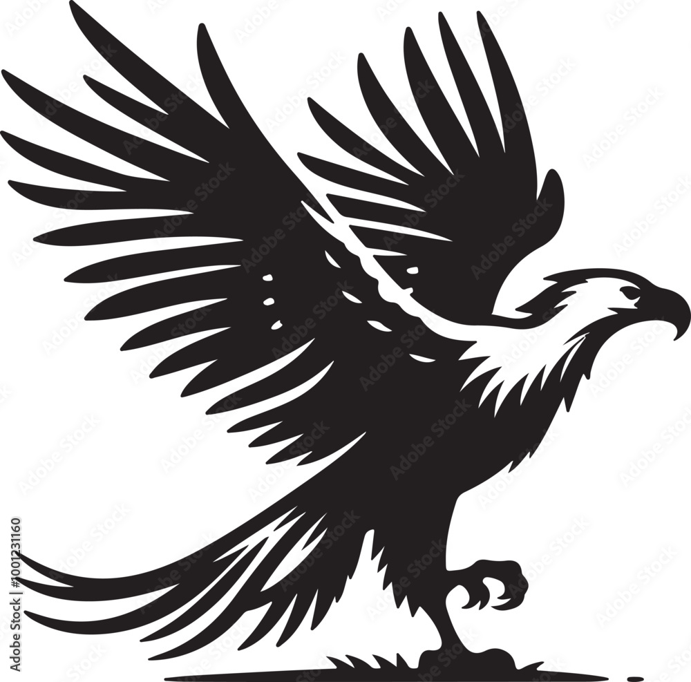 Obraz premium African Fish Eagle black and white vector design