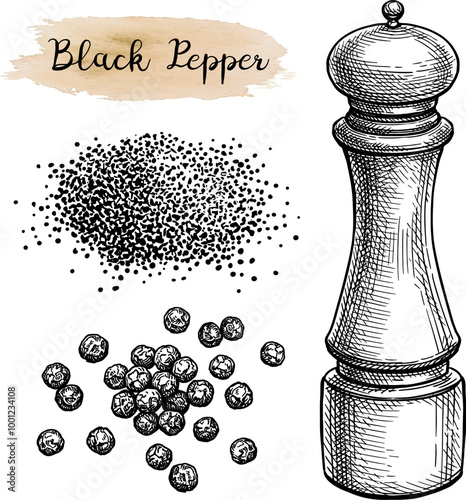 Black pepper and spice mill