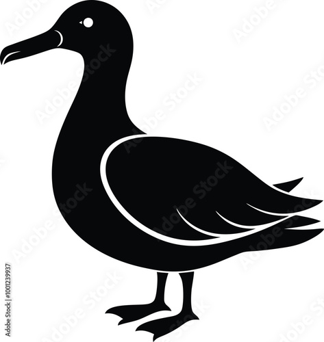 duck isolated on white background anda silhouette of albatross.