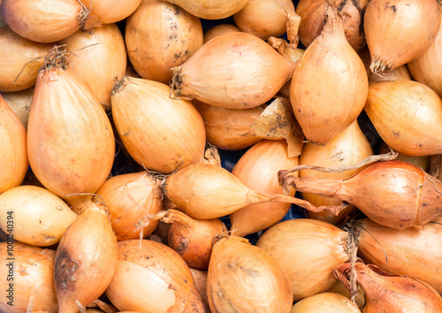 The yellow Onions sets background and texture.