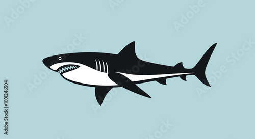 Shark logo. Isolated shark on blue background