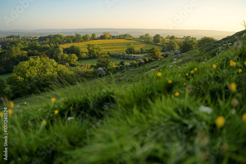 Scenic view of rolling Glastonbury countryside at sunrise