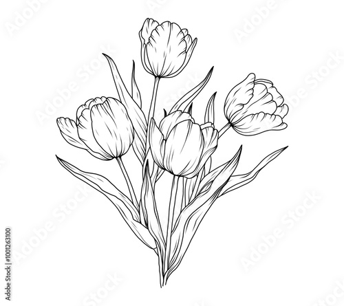 Tulip line art sketch flower. Hand drawn tulips bouquet black drawing. Abstract floral leaves. Vector illustration in outline style