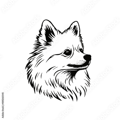 Detailed Line Drawing of a Fluffy Dog
