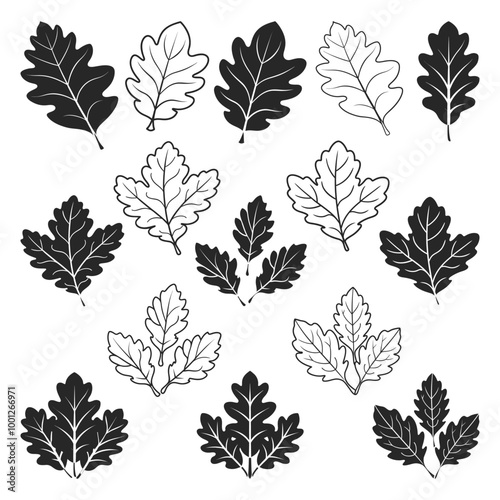 Oak Leaves Silhouette, Oak Leaves, Fall Leaves Svg, Oak Leaves Icon Svg, Oak Leaves Bundle