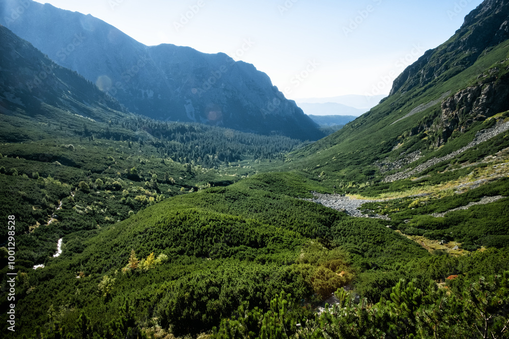 Fototapeta premium Mengusovska valley, High Tatras mountains, Slovakia