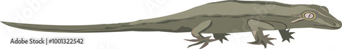 garogyle gecko illustration