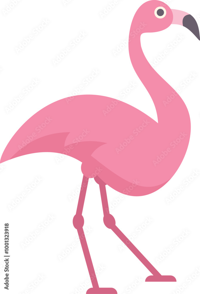 Obraz premium Pink flamingo standing on long legs, looking right, isolated on white background