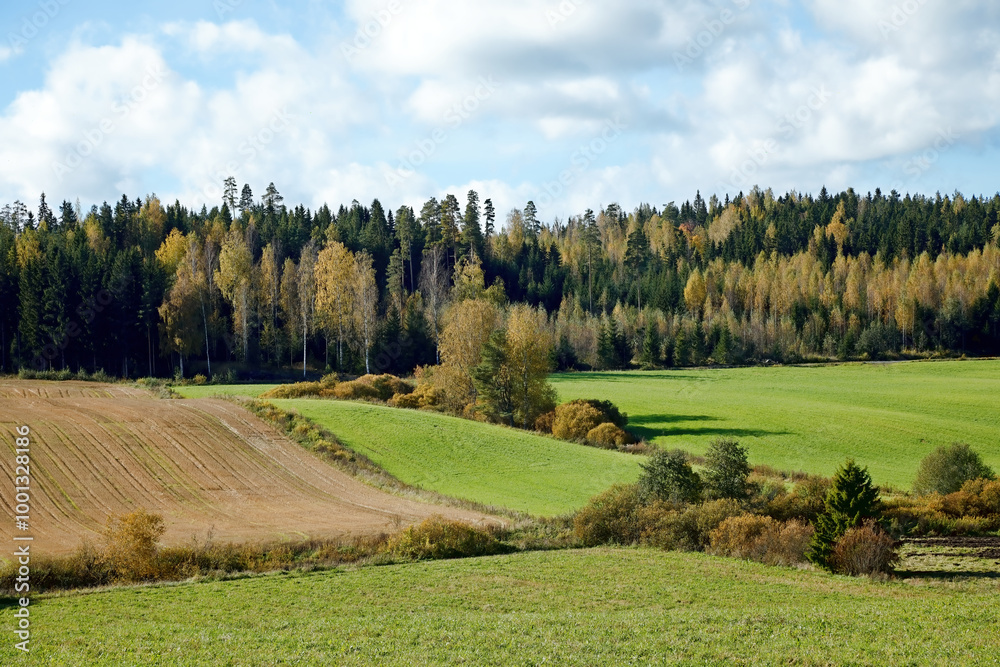 Rural landscape with blue sky and clouds in Finaland Rural landscape with blue sky and clouds in Finaland