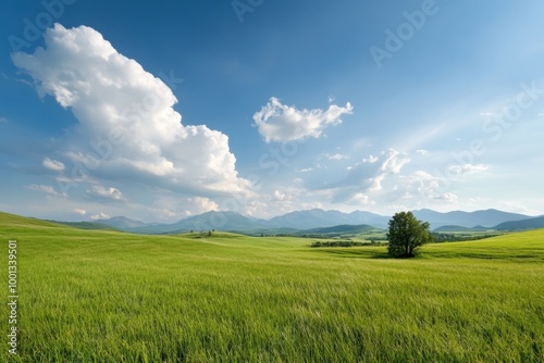 Expansive Countryside View with Rolling Hills and a Lone Tree, symbolizing peace, serenity, nature, growth, and freedom.