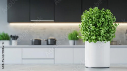 Open-plan kitchen with a tall, indoor herb tree growing through the countertop, herb tree kitchen, functional decor