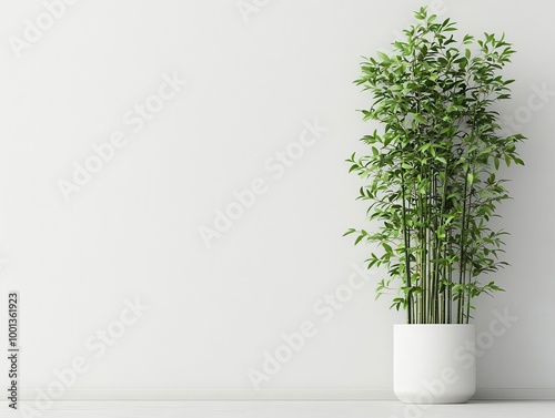 Tall bamboo cluster growing in a double-height entryway, adding vertical green accents, bamboo entryway, vertical garden