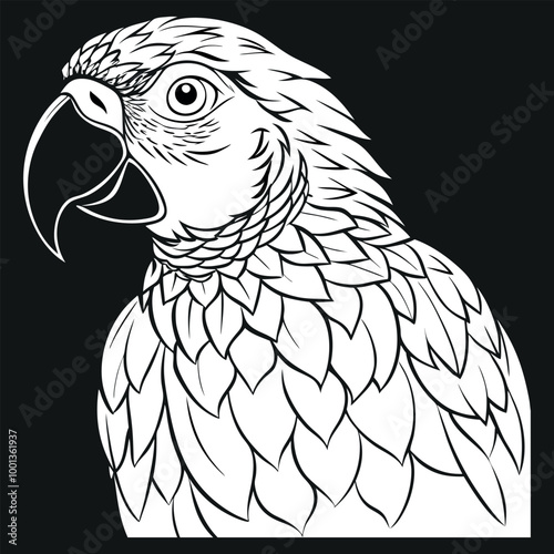 Parot design pancil art vector , illustration and artwork