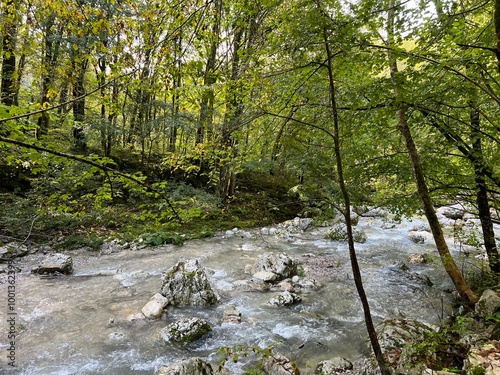 The canyon of the Kozjak stream above its confluence with the Soča river (Kobarid, Slovenia) - Die Schlucht des Baches Kozjak oberhalb seiner Mündung in den Fluss Soča (Slowenien) photo