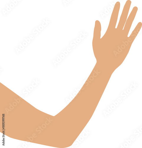 Arm Body