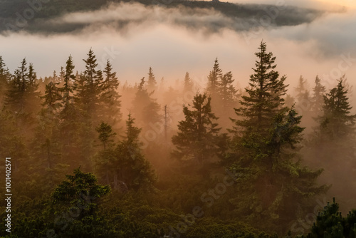 Karkonosze wschód