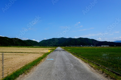日本の田舎の風景