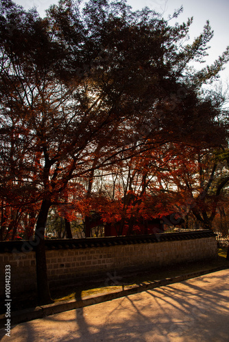 Canvas Print Seoul