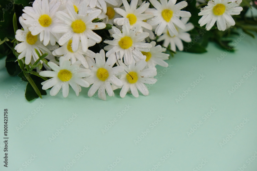 Obraz premium A vibrant bouquet of colorful tulips in full bloom, arranged in a glass vase against a soft, blurred background. The tulips feature a variety of colors including pink, yellow. frame with text space. 