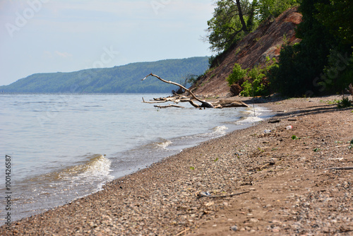 Fototapeta Naklejka Na Ścianę i Meble -  a beach with a dry tree on it and a mountain in the background