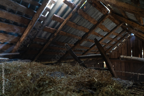 The hayloft in the barn. Sunlight breaks through the leaky roof. Village vibe