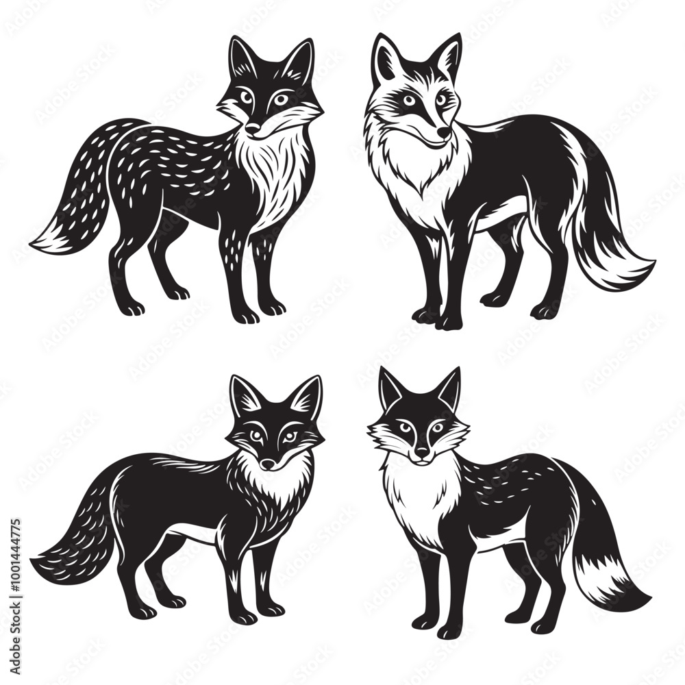 Fototapeta premium fox