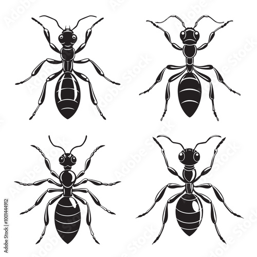 ant
