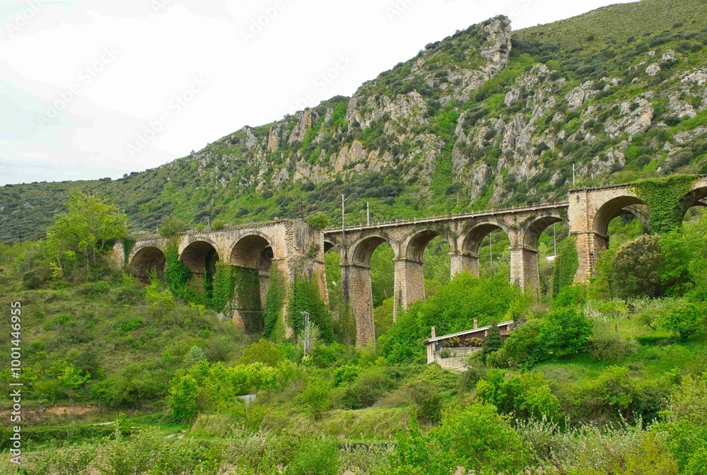 Obraz premium spans of different railway bridge construction styles 