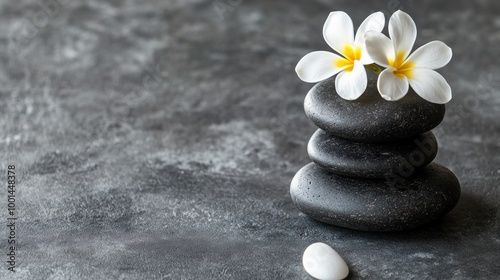Zen Stones with White Flowers