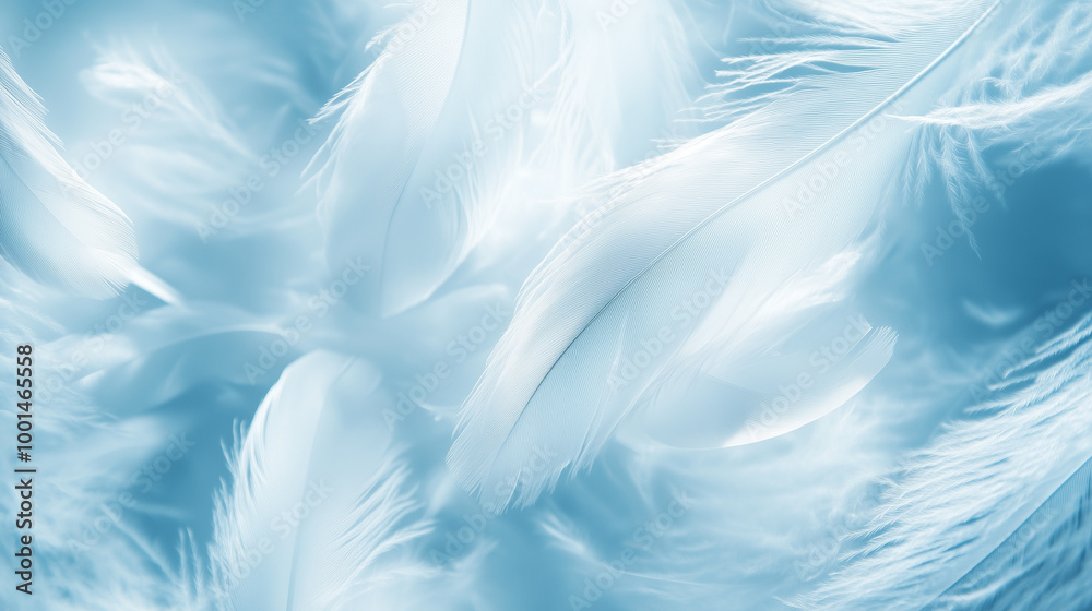 Background with ethereal feathers in blue and white, styled with gentle weightlessness Background with ethereal feathers in blue and white, styled with gentle weightlessness