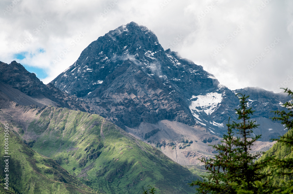 Scenery of mountain peaks and vegetation at high altitudes Scenery of mountain peaks and vegetation at high altitudes