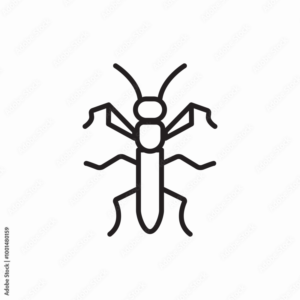 desert insect icon sign vector desert insect icon sign vector