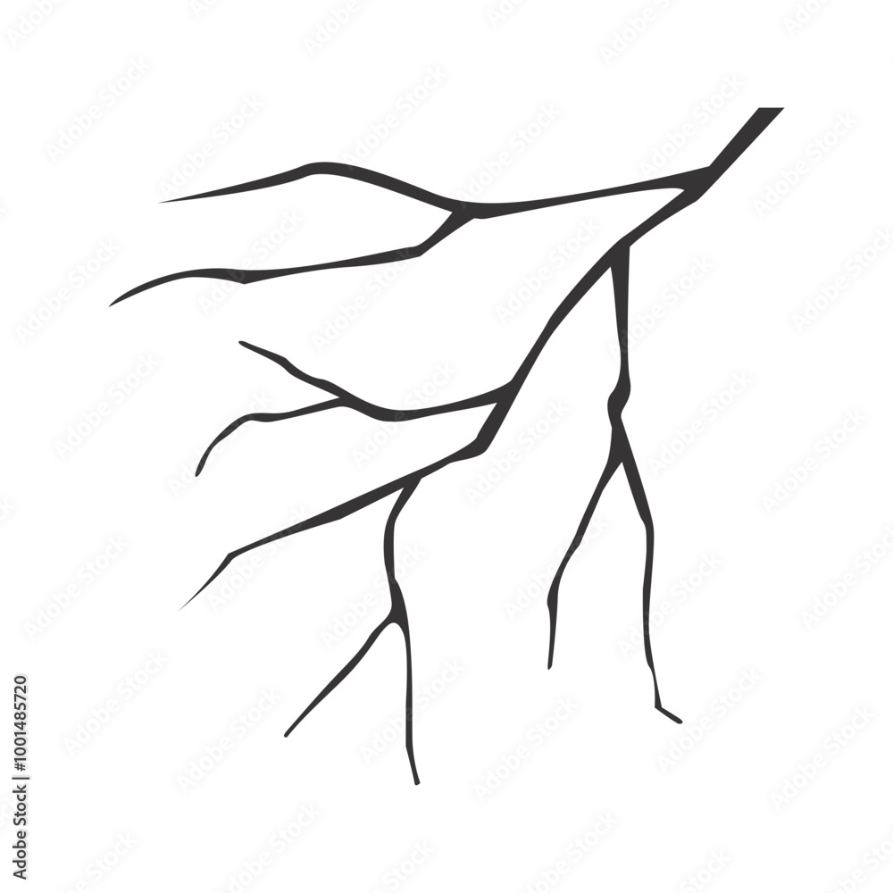 Fototapeta premium Tropical leaf silhouette. Jungle exotic leaves and botanical plants. Vector illustration.