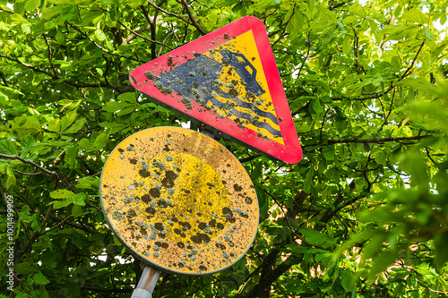 Mossy road signs indicating a river bank area in Sweden with weathered surfaces and lush green surroundings photo