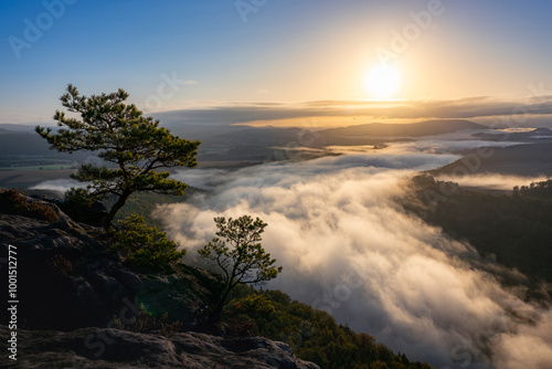 Nebelschwaden über der Elbe in der Säschsischen Schweiz bei Sonnenaufgang