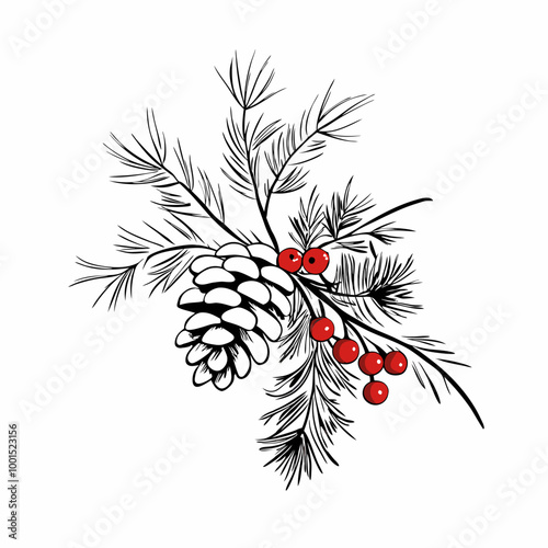 Hand-drawn pine cone and red berries illustration with white background for decoration