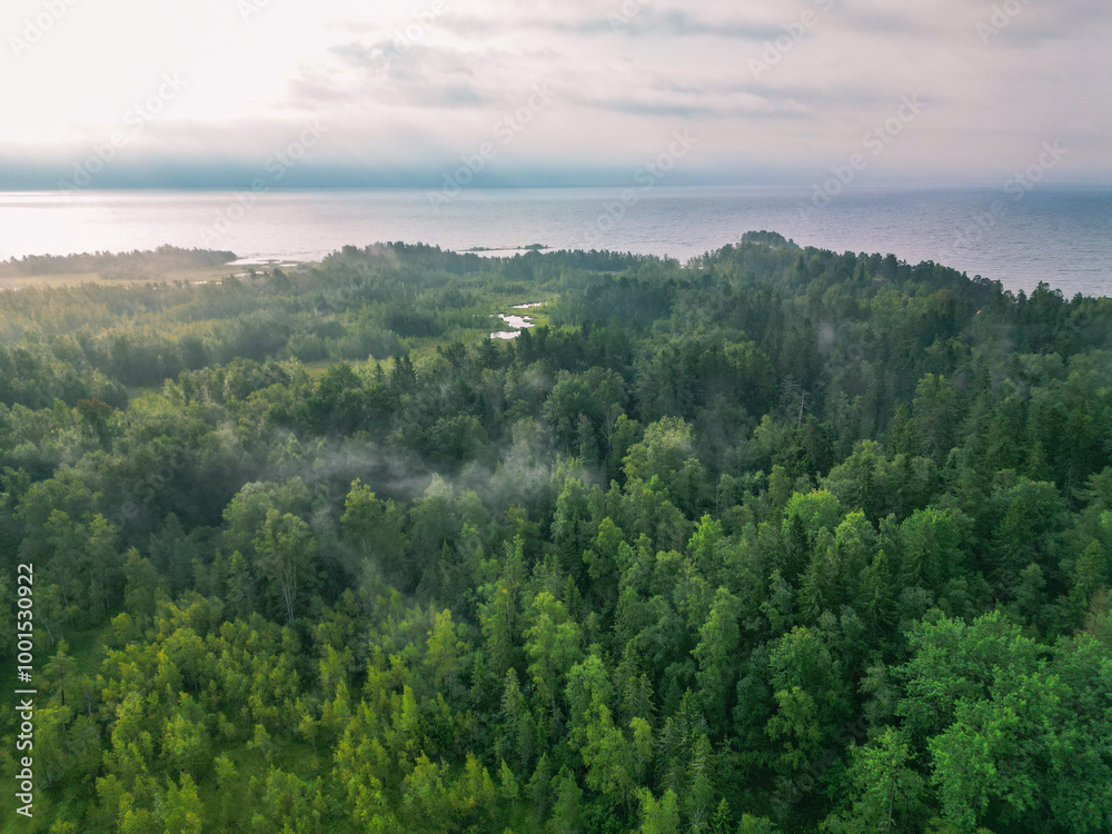 Green foggy landscape of northern coniferous forest near the seashore - aerial view from drone Green foggy landscape of northern coniferous forest near the seashore - aerial view from drone