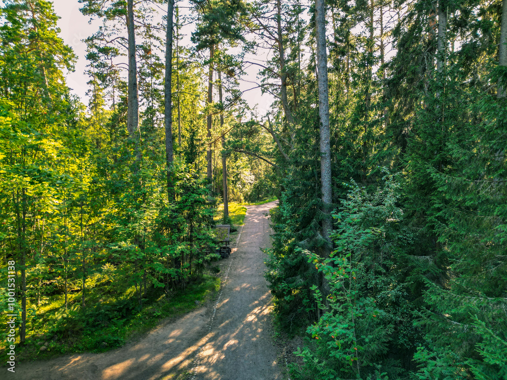 Naklejka premium Sandy road in northern coniferous forest - aerial view from drone