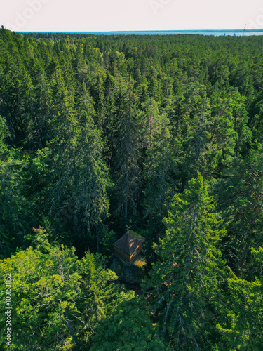 Lonely church in the green forest, Konevets island - photo drone view photo