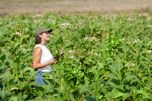 Female farmer with digital tablet on a tobacco field