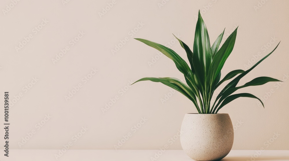 A vibrant green plant in a sleek ceramic pot against a clean, neutral background, emphasizing modern sophistication A vibrant green plant in a sleek ceramic pot against a clean, neutral background, emphasizing modern sophistication