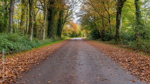 A road with leaves on the ground and trees in the background. The road is empty and the leaves are scattered all over it